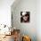 Lorne Greene - Bonanza-null-Photo displayed on a wall