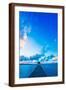 Brown Frame