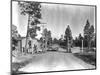 Los Alamos Checkpoint-null-Mounted Photographic Print