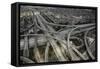 Los Angeles, Aerial of Judge Harry Pregerson Interchange and Highway-David Wall-Framed Stretched Canvas