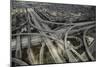 Los Angeles, Aerial of Judge Harry Pregerson Interchange and Highway-David Wall-Mounted Photographic Print