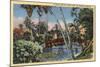 Los Angeles, California - A Shady Retreat in Echo Park-Lantern Press-Mounted Art Print