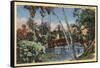 Los Angeles, California - A Shady Retreat in Echo Park-Lantern Press-Framed Stretched Canvas