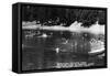 Los Angeles, California - Crystal Lake Recreation Camp-Lantern Press-Framed Stretched Canvas