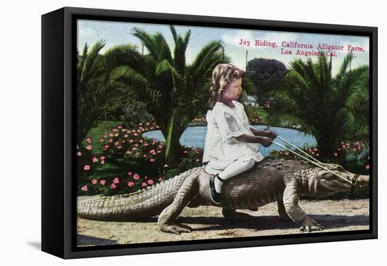 Los Angeles, California - Girl Riding Alligator at the Farm-Lantern Press-Framed Stretched Canvas