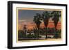 Los Angeles, California - Sunset in Echo Park-Lantern Press-Framed Art Print