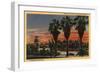 Los Angeles, California - Sunset in Echo Park-Lantern Press-Framed Art Print