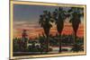 Los Angeles, California - Sunset in Echo Park-Lantern Press-Mounted Art Print