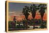 Los Angeles, California - Sunset in Echo Park-Lantern Press-Stretched Canvas