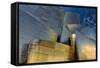Los Angeles, California. the Disney Concert Hall Exterior-Rona Schwarz-Framed Stretched Canvas
