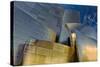 Los Angeles, California. the Disney Concert Hall Exterior-Rona Schwarz-Stretched Canvas