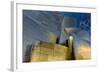 Los Angeles, California. the Disney Concert Hall Exterior-Rona Schwarz-Framed Photographic Print