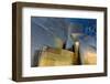 Los Angeles, California. the Disney Concert Hall Exterior-Rona Schwarz-Framed Photographic Print