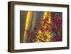 Los Angeles, California. the Disney Concert Hall Exterior-Rona Schwarz-Framed Photographic Print