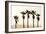 Los Angeles, California, USA: Five Palm Tress In A Row During The Golden Hour Just Before Sunset-Axel Brunst-Framed Photographic Print