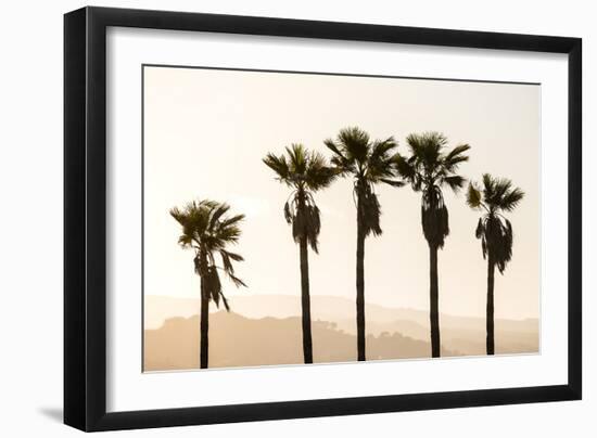 Los Angeles, California, USA: Five Palm Tress In A Row During The Golden Hour Just Before Sunset-Axel Brunst-Framed Photographic Print