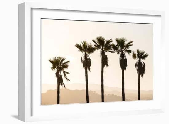 Los Angeles, California, USA: Five Palm Tress In A Row During The Golden Hour Just Before Sunset-Axel Brunst-Framed Photographic Print