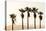 Los Angeles, California, USA: Five Palm Tress In A Row During The Golden Hour Just Before Sunset-Axel Brunst-Stretched Canvas