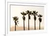 Los Angeles, California, USA: Five Palm Tress In A Row During The Golden Hour Just Before Sunset-Axel Brunst-Framed Photographic Print