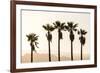 Los Angeles, California, USA: Five Palm Tress In A Row During The Golden Hour Just Before Sunset-Axel Brunst-Framed Photographic Print