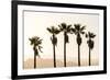 Los Angeles, California, USA: Five Palm Tress In A Row During The Golden Hour Just Before Sunset-Axel Brunst-Framed Photographic Print