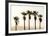 Los Angeles, California, USA: Five Palm Tress In A Row During The Golden Hour Just Before Sunset-Axel Brunst-Framed Photographic Print