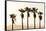 Los Angeles, California, USA: Five Palm Tress In A Row During The Golden Hour Just Before Sunset-Axel Brunst-Framed Stretched Canvas