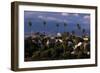 Los Angeles, California-Larry Brownstein-Framed Photographic Print