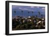 Los Angeles, California-Larry Brownstein-Framed Photographic Print