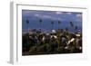 Los Angeles, California-Larry Brownstein-Framed Photographic Print