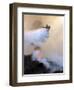 Los Angeles City Fire Helicopter Drops Water on a Hot Spot in the Angeles National Forest-null-Framed Premium Photographic Print