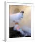 Los Angeles City Fire Helicopter Drops Water on a Hot Spot in the Angeles National Forest-null-Framed Photographic Print