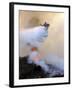 Los Angeles City Fire Helicopter Drops Water on a Hot Spot in the Angeles National Forest-null-Framed Photographic Print