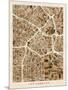 Los Angeles City Street Map-Michael Tompsett-Mounted Art Print