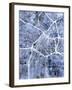 Los Angeles City Street Map-Michael Tompsett-Framed Art Print