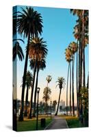 Los Angeles Downtown Park View with Palm Trees.-Songquan Deng-Stretched Canvas
