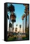 Los Angeles Downtown Park View with Palm Trees.-Songquan Deng-Framed Stretched Canvas