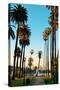 Los Angeles Downtown Park View with Palm Trees.-Songquan Deng-Stretched Canvas