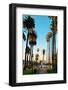 Los Angeles Downtown Park View with Palm Trees.-Songquan Deng-Framed Photographic Print