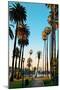 Los Angeles Downtown Park View with Palm Trees.-Songquan Deng-Mounted Photographic Print
