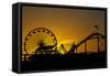 Los Angeles, Santa Monica, Ferris Wheel and Roller Coaster at Sunset-David Wall-Framed Stretched Canvas