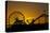 Los Angeles, Santa Monica, Ferris Wheel and Roller Coaster at Sunset-David Wall-Stretched Canvas