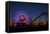 Los Angeles, Santa Monica, Ferris Wheel and Roller Coaster-David Wall-Framed Stretched Canvas