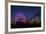 Los Angeles, Santa Monica, Ferris Wheel and Roller Coaster-David Wall-Framed Photographic Print