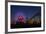 Los Angeles, Santa Monica, Ferris Wheel and Roller Coaster-David Wall-Framed Photographic Print