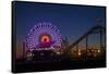 Los Angeles, Santa Monica, Ferris Wheel and Roller Coaster-David Wall-Framed Stretched Canvas