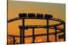 Los Angeles, Santa Monica, Roller Coaster at Sunset, Pacific Park-David Wall-Stretched Canvas