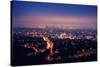 Los Angeles Skyline at Night, View from Hollywood Hills towards 101 Freeway and Downtown.-logoboom-Stretched Canvas