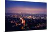 Los Angeles Skyline at Night, View from Hollywood Hills towards 101 Freeway and Downtown.-logoboom-Mounted Photographic Print