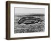 Los Angeles: Stadium, 1962-null-Framed Giclee Print